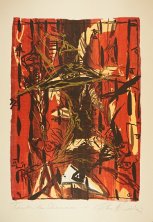Tuch der Schamanen (Ranft-Schinke Dagmar)