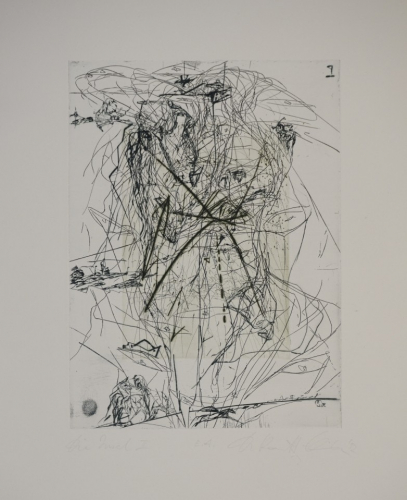 Die Insel II (Ranft-Schinke Dagmar)