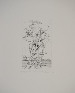 Crazy world (Ranft-Schinke Dagmar)