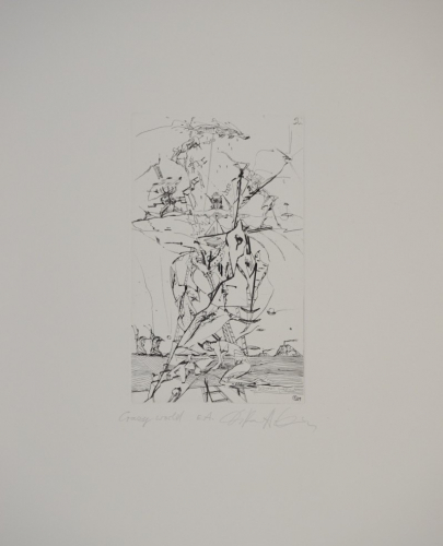 Crazy world (Ranft-Schinke Dagmar)