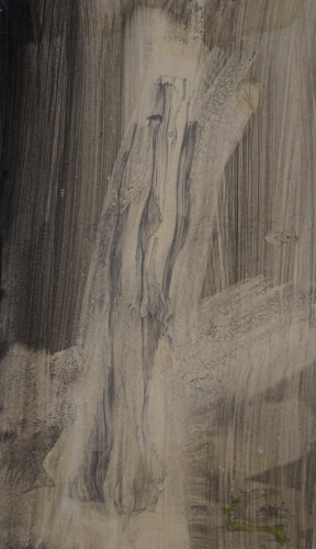 Schwemmholz  (Richter Günter)