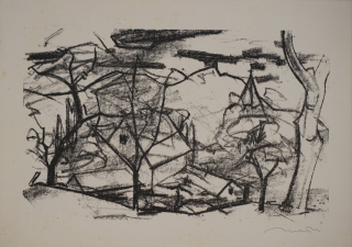 Häusergruppe hinter Bäumen in Muffendorf (Richter Hans Theo)