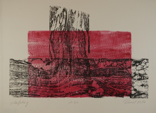 Bl. 9 Aufstieg (Runst Wilfried)