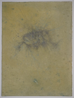 o.T: Fisch (Sakulowski Horst)