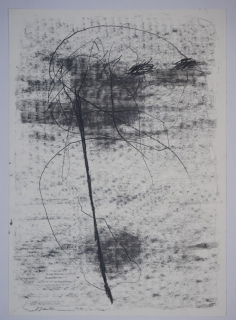 o.T. Bl. 5 (Scheffler Wolfram Adalbert)