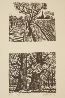 Landschaften (Schinko Werner)