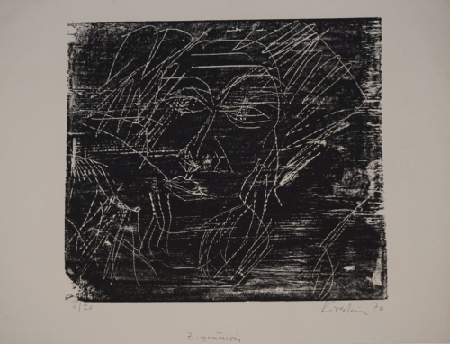 Zigeunerin (Schmidt-Kirstein Helmut)