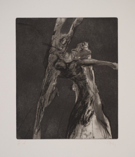 Finish (Schnürpel Peter)