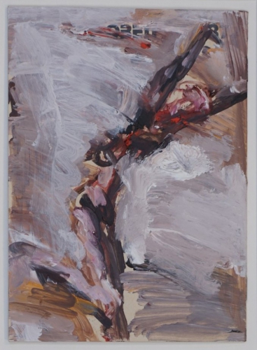 Läufer (Schnürpel Peter)