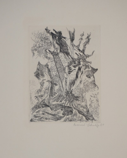 o.T. (Schultze Bernard)