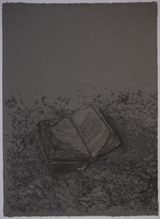 Das letzte Buch (Schwarz Reiner)