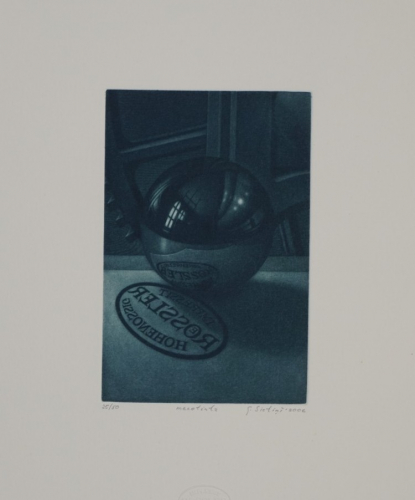 meccotinto-Rössler Hohenossig (Sietins Guntars)