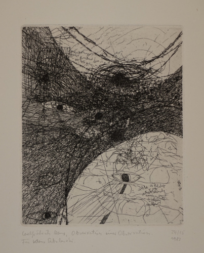 Observation einer Observation    Bl.13 (Claus Carlfriedrich)