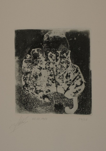 o.T.     Bl.9 (Sobolewski Klaus)