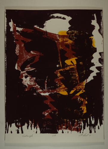 Bl.13 Schattenspiel (Suchomel Thomas)