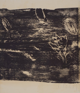 o.T. Blüte der Nacht (Tarlatt Ulrich)