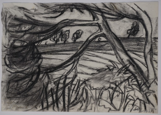 Göpfersdorfer Landschaft (Toch Barbara)