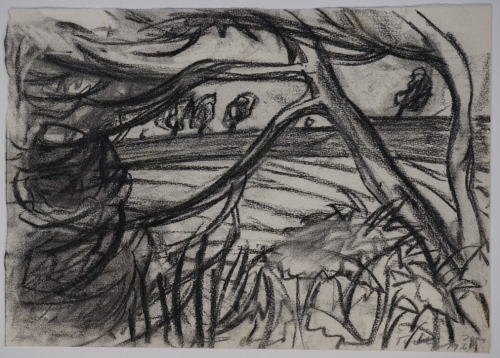 Göpfersdorfer Landschaft (Toch Barbara)