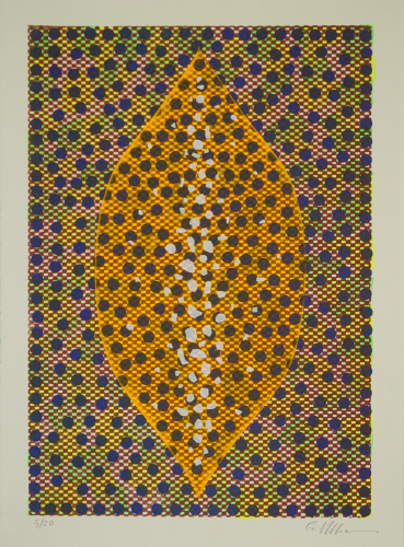 morphische Resonanz (Ullmann Günter)