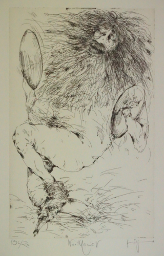 Bl.5 Neothenie V (Degenhardt Gertrude)