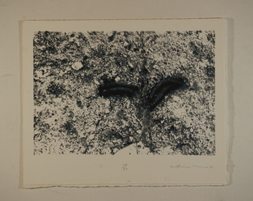 o.T. (Wasse Ralf Rainer)