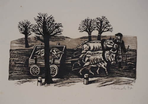 Ochsengespann (Wendt Volker)