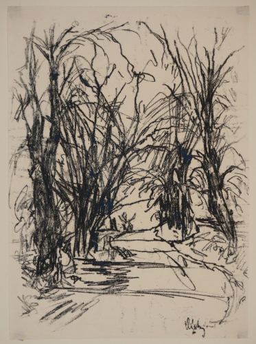 Linden der Geraer Landstraße in Altenburg (Dietz Erich)