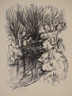 Landschaft I (Dietz Erich)