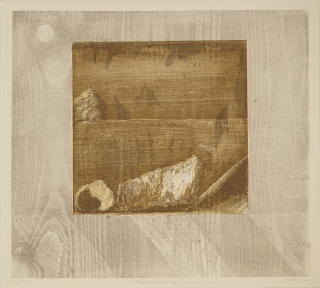 Dämmerung (Wittig Werner)