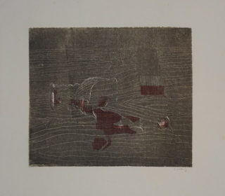 Das zerbrochene Glas (Wittig Werner)