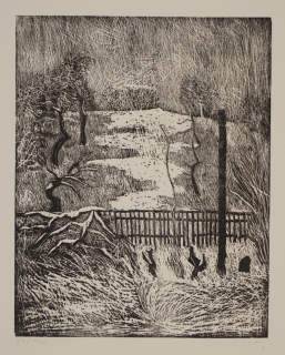 Verschneiter Hang (Wittig Werner)