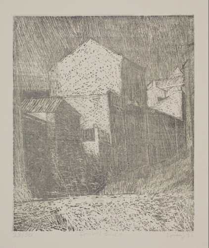 Frühes Licht (Wittig Werner)
