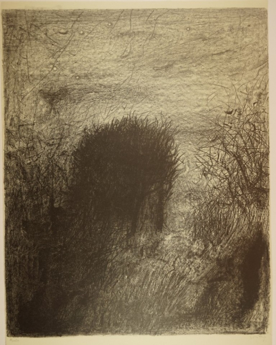 o.T. Landschaft (Wittig Werner)