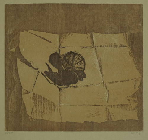 Bl.6  Papierstilleben (Wittig Werner)