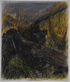 o.T. (Umgestürzte Weide) (Dietz Erich)