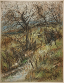 Herbstlandschaft / Weiden am Bach (Dietz Erich)