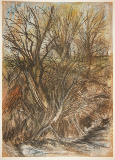 Herbstlandschaft / Weiden (Dietz Erich)