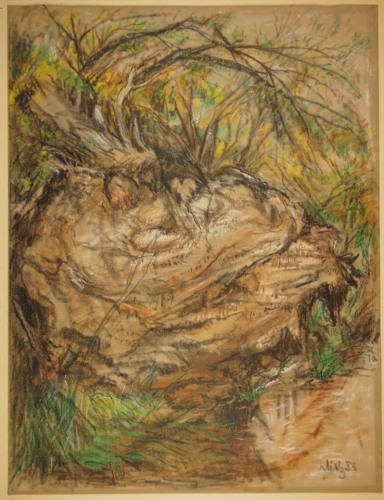 Umgestürzter Baum (Dietz Erich)