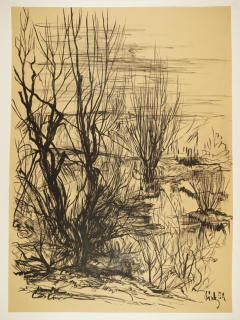 Teichlandschaft (Dietz Erich)