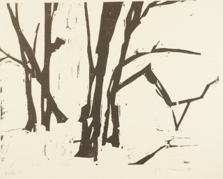 Winter (Zaumseil Peter)