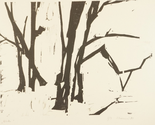 Winter (Zaumseil Peter)