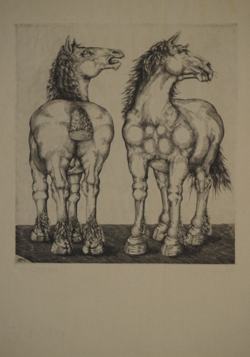 equus (Zettl Baldwin)