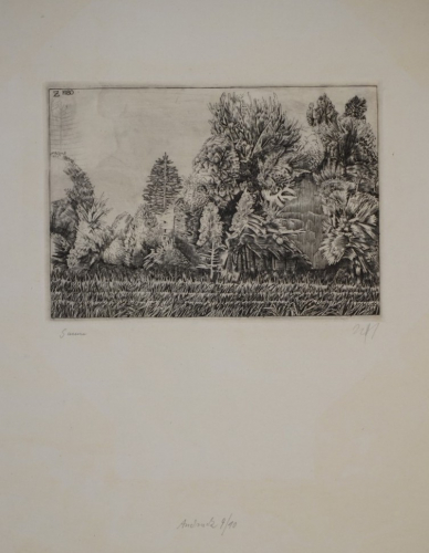 Saum (Zettl Baldwin)