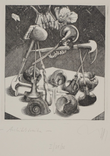 Architektonika (Zettl Baldwin)