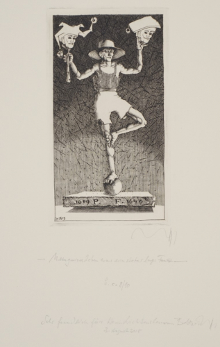 Mein ganzes Leben war ein steter langer Tanz (Zettl Baldwin)