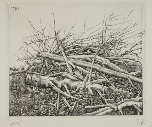 passé   Bl.1 (Zettl Baldwin)