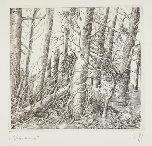 Waldinneres  Bl.2 (Zettl Baldwin)