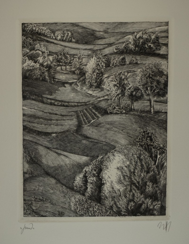 Grund (Zettl Baldwin)