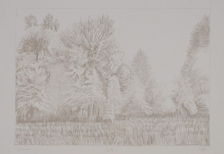 Saum (Zettl Baldwin)