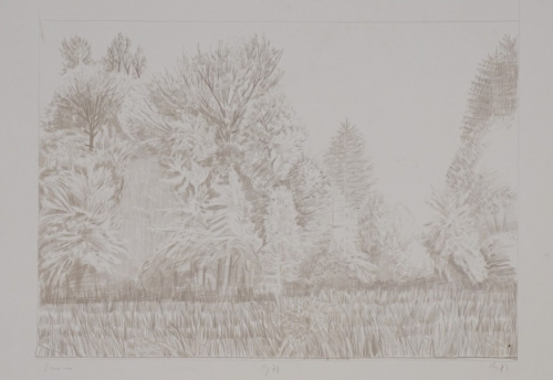 Saum (Zettl Baldwin)